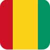 پرچم کشور گینه