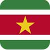 پرچم کشور سورینام