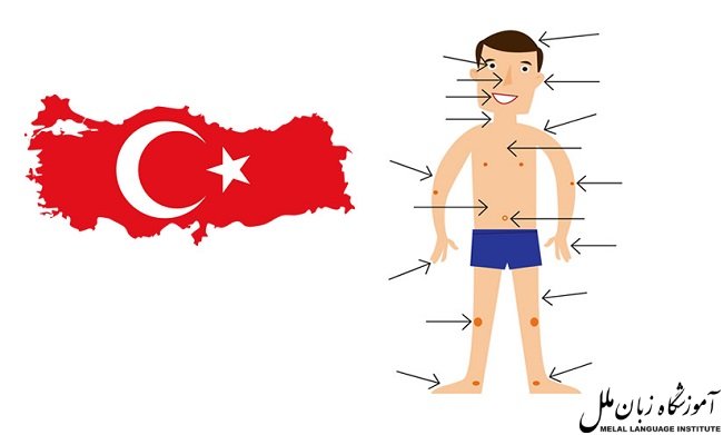 اعضای بدن در ترکی استانبولی 