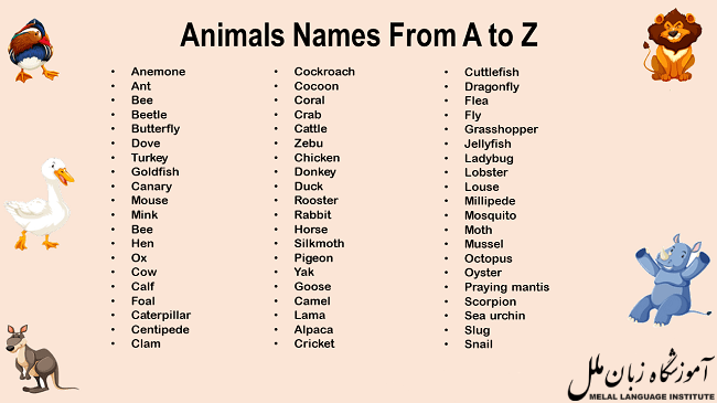 اسم حیوانات به انگلیسی با تلفظ