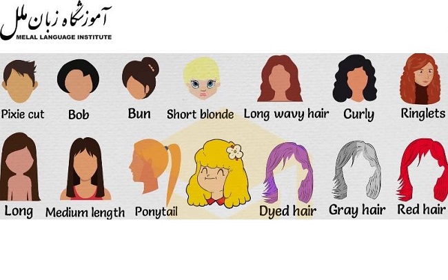 انواع مدل و رنگ مو در زبان انگلیسی