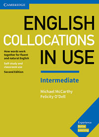english collocation in use