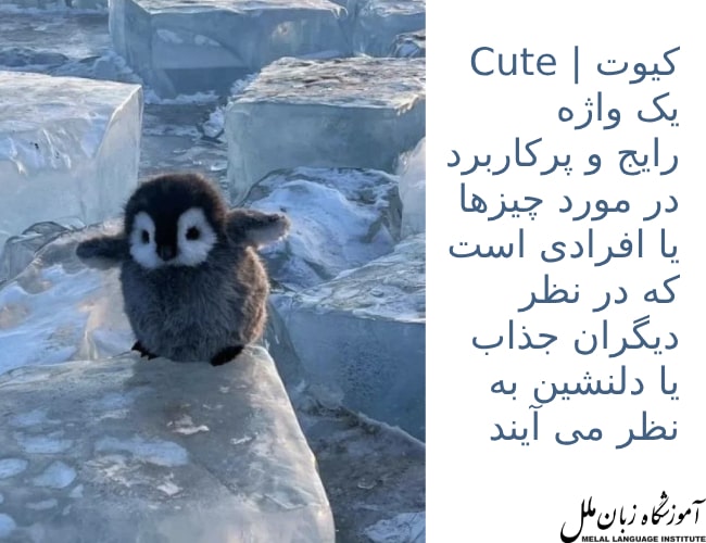 Cute به فارسی