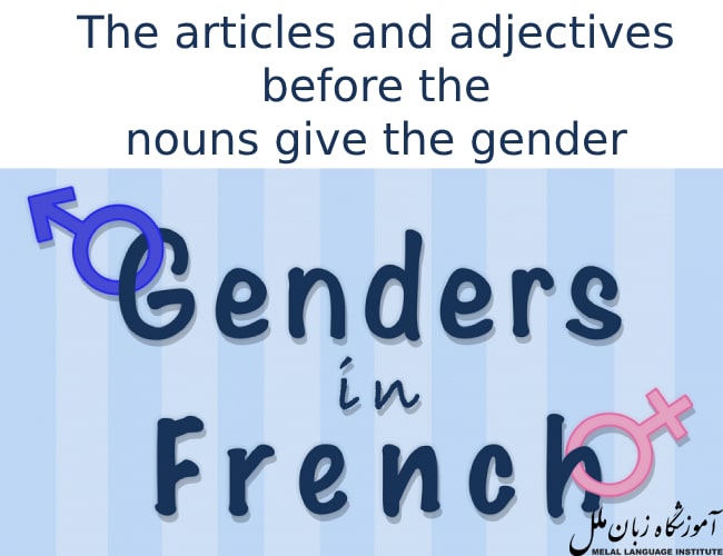 جنسیت اسم در زبان فرانسه