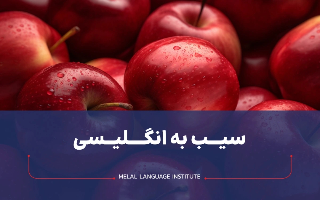 سیب به انگلیسی