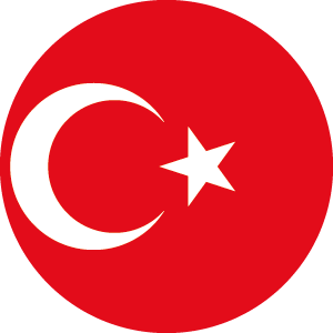 ترکی استانبولی