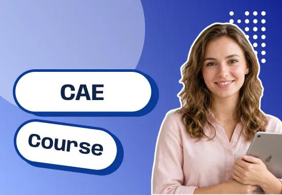 دوره آنلاین CAE