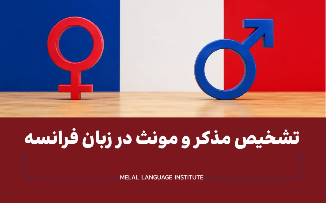 تشخیص مذکر و مونث در زبان فرانسه