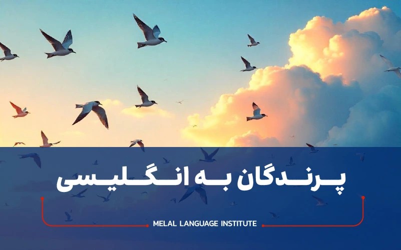 پرندگان به زبان انگلیسی