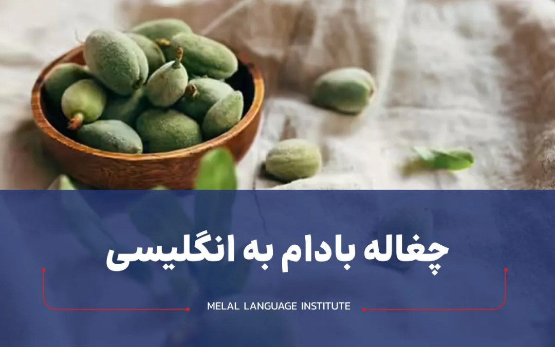 چغاله بادام به انگلیسی