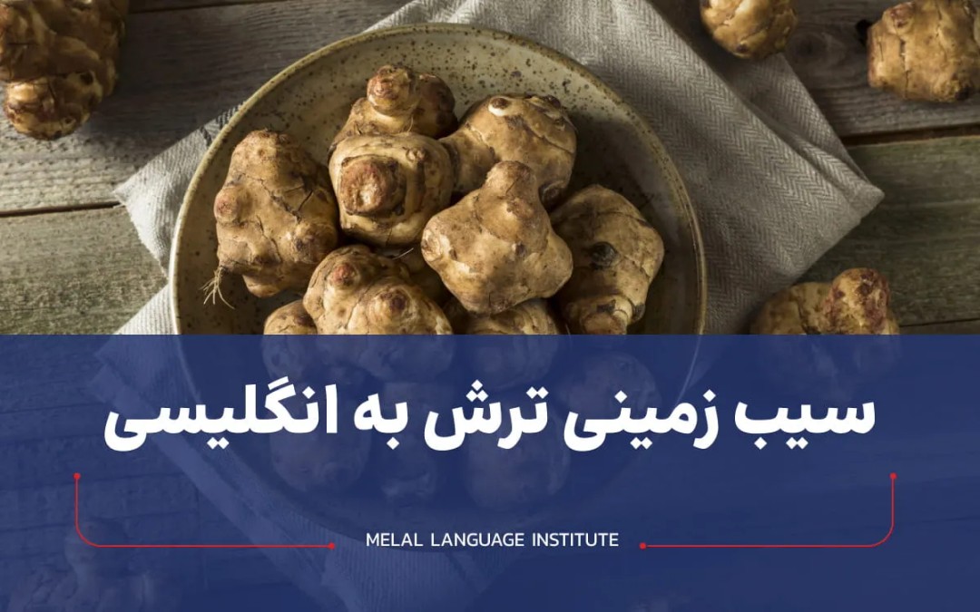 سیب زمینی ترشی به انگلیسی