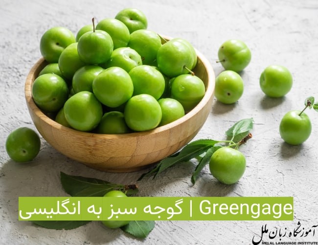 گوجه سبز به انگلیسی | Greengage