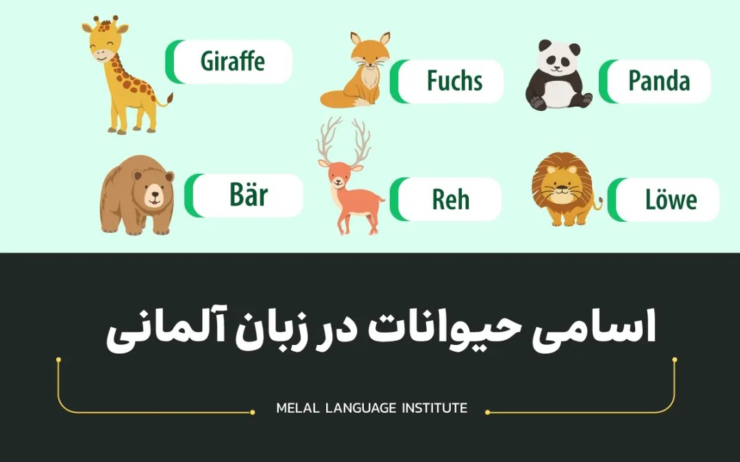 حیوانات در زبان آلمانی