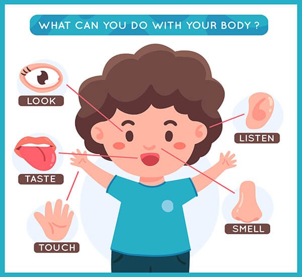 اعضای بدن به انگلیسی + ویدیو آموزشی