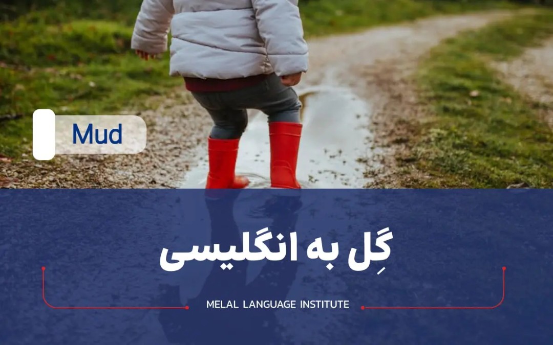 گل و لای به انگلیسی