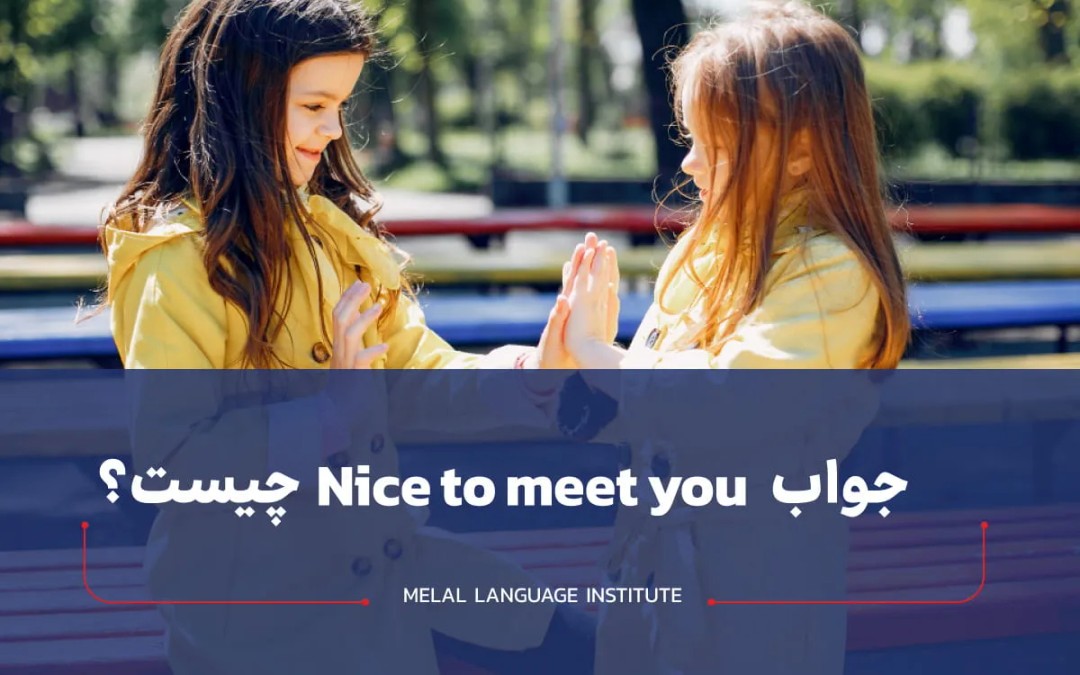 جواب nice to meet you چیست