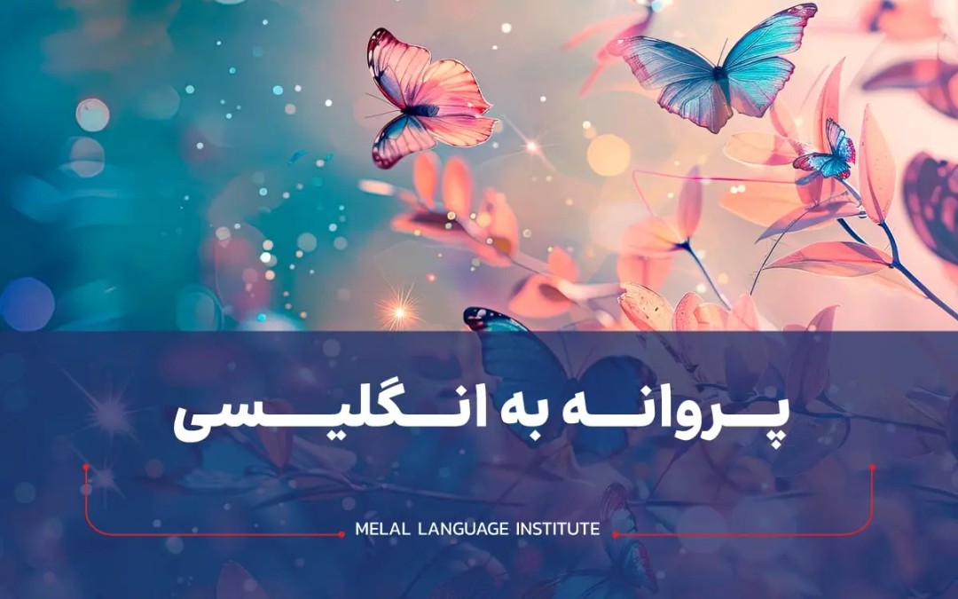 پروانه به انگلیسی