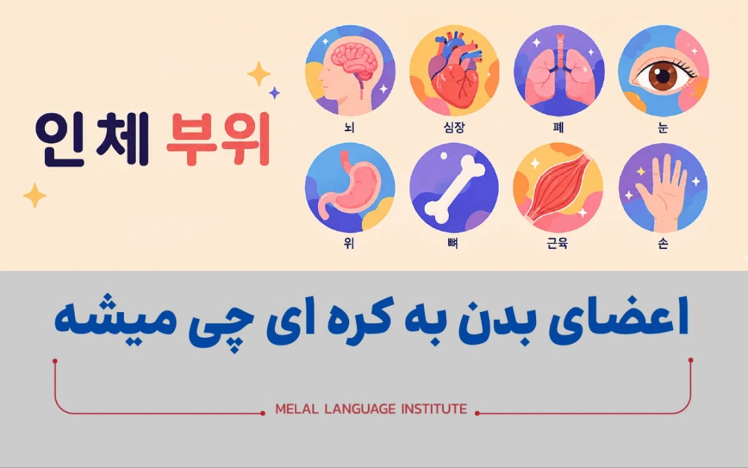 اعضای بدن به کره ای چی میشه