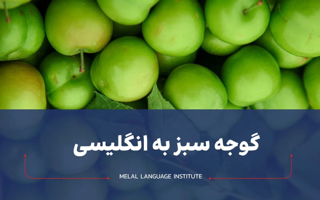 گوجه سبز به انگلیسی