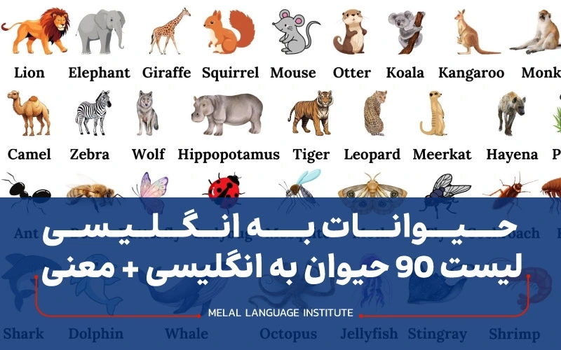 حیوانات به زبان انگلیسی