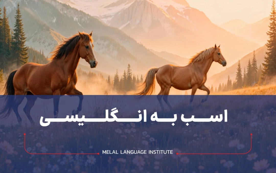 اسب به انگلیسی