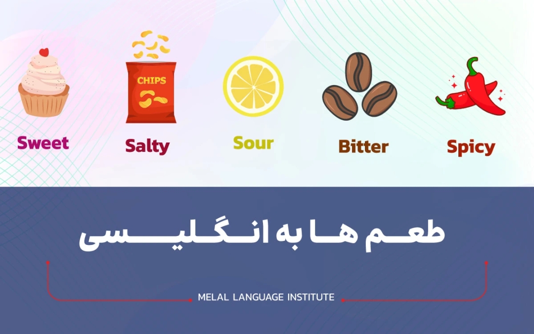 طعم ها در زبان انگلیسی