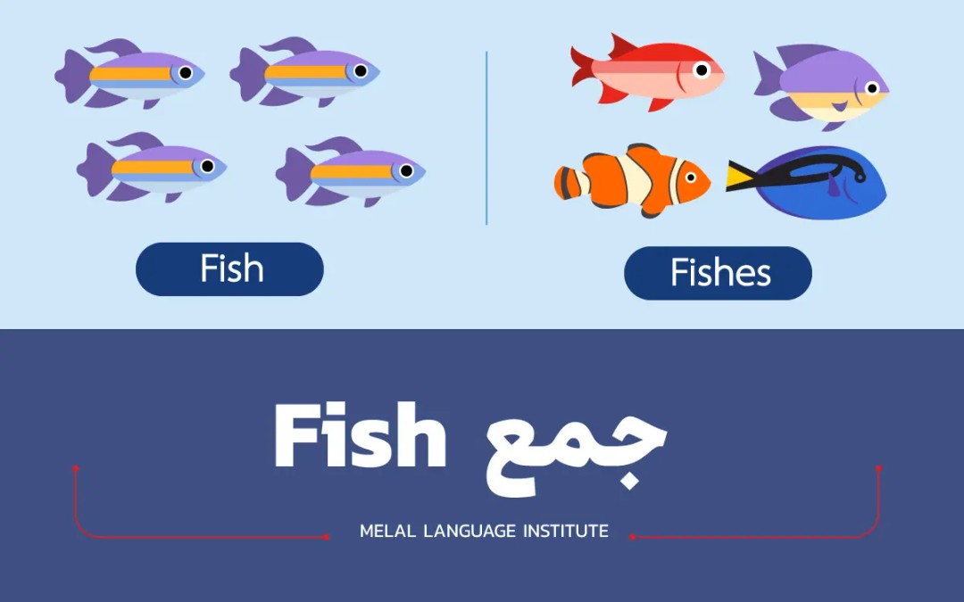 جمع fish