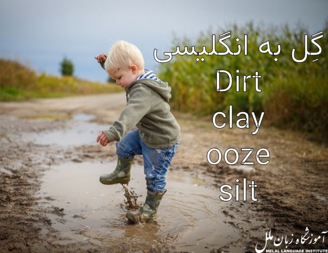 عبارت گل به انگلیسی