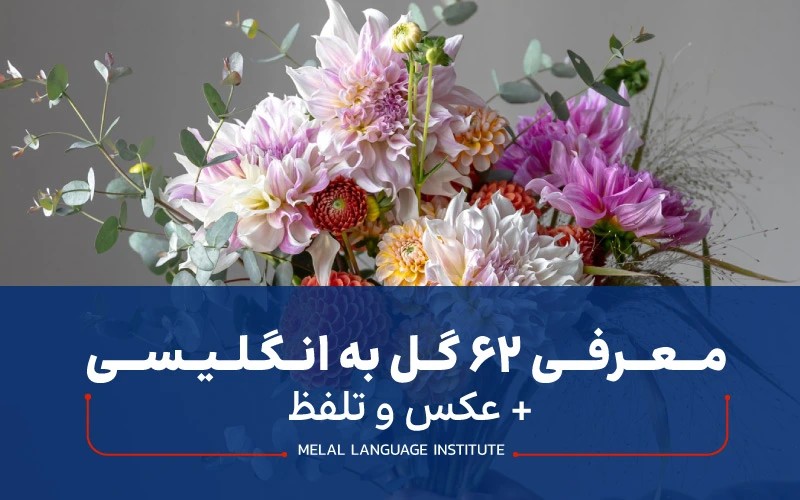 گل به انگلیسی