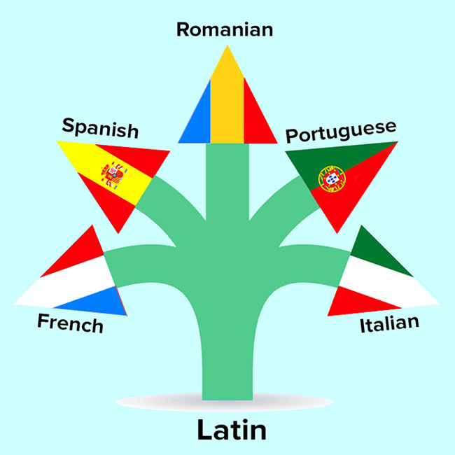 زبان لاتین چیست؟ تفاوت زبان لاتین با انگلیسی