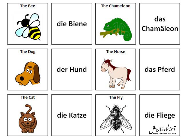 حیوانات در زبان آلمانی